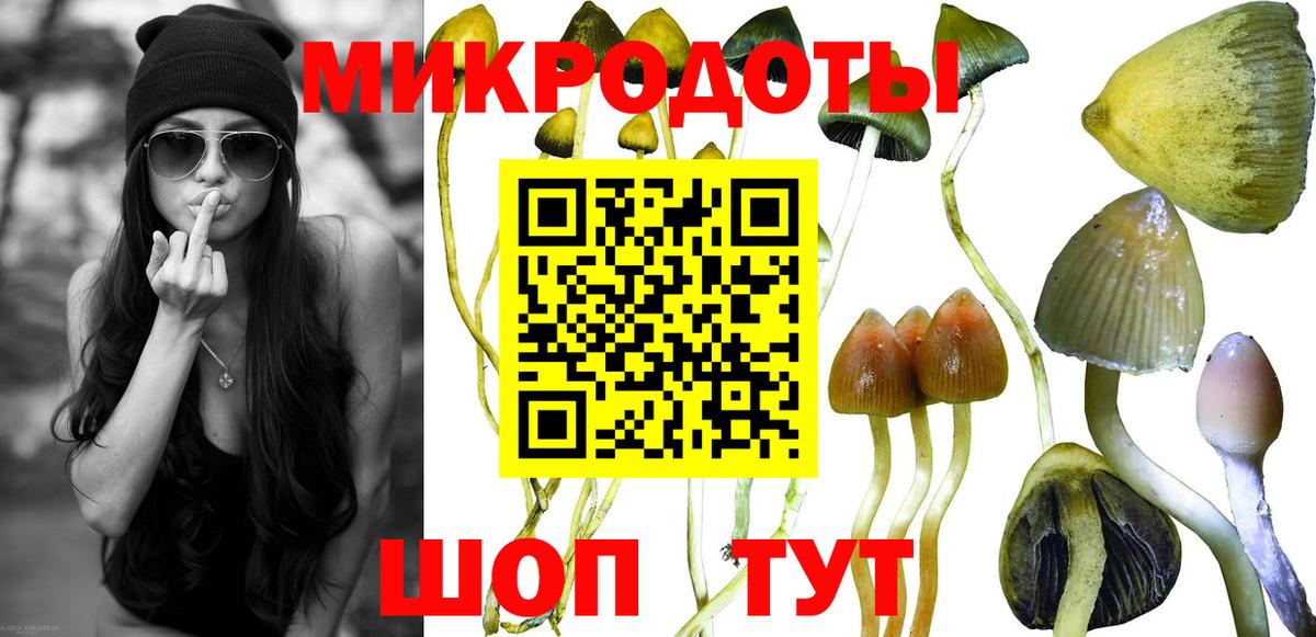 Галлюциногенные грибы мухоморы Пушкино