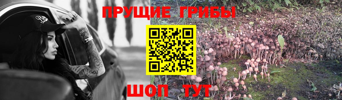 Галлюциногенные грибы Psilocybe  Вход с VPN  Пушкино  Псилоцибиновые грибы мухоморы 